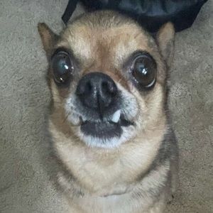 Meet your Posher, Bryan